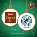 After Eight Mint Collection Box 199g image 2