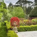 4Pcs 28.7in/72.8cm
Artificial Hanging Flowers for Outdoors Fake Plants Decoration,Faux Silk Colorful Daisy Eucalyptus Realistic for Outside Home Planter Porch Patio Yard Decor(red) image 9