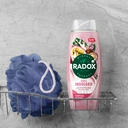 Radox Mineral Therapy Shower Cream Feel Indulged 450ml image 4