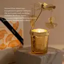 Zooly Coffret cadeau Temple Antique au bois d’agar - Bougie parfumée et diffuseur de parfum à bâtonnets (Ginkgo, 70 g de cire + 50 ml de diffuseur), 1 coffret image 3