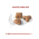 ROYAL CANIN Sensitive 33 Chat digestion sensible 2 kg image 1