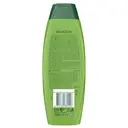 Palmolive Silky Shine Aloe Shampoo 350ml image 1