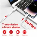 dpower F9000 Câble Type-C vers Type-C 1 Mètre, Charge Rapide 3A, Transmission 480 Mbps, Câble Cuivre TPE Compatible MacBook iPhone 16 iPad Samsung image 3