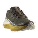 SALOMON DRX Defy GRVL Mustard/Ice 44 2/3 image 1