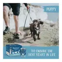 Butcher's Puppy Perfect Wet Dog Food Tins 6 x 400g image 3