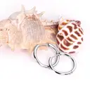 Stainless Steel Hoop Earrings 16mm – Silver Tone Polished Round Tube Hoops, 2.5mm Thick Unisex Jewelry image 4