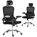 HOMCOM Ergonomic Office Chair, High Back Mesh Computer Desk Chair with Adjustable Headrest and Lumbar Support, Flip-up Armrests for Home Office, Black image 0