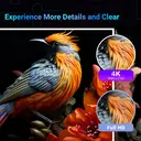 TeeView 65" QLED UHD  Smart Tizen OS TV-TV65QQT(Dolby Audio,Gaming Hub) image 1