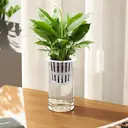 Yuejia Lot de 3 vases cylindriques en acrylique transparent - 25 cm/20 cm image 4