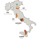 The Bridge Coconut Drink - 1L image 2