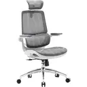 Sihoo M59AS Chaise de bureau ergonomique - Gris image 1