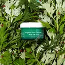Axis-Y Mugwort Pore Clarifying Wash Off Pack 100ml image 4