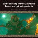 Nintendo The Legend of Zelda: Breath of the Wild (Switch) image 3