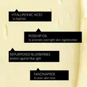 UpCircle Hyaluronic Acid Night Cream 55ml image 7