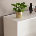 Vida Designs Bookcase Cambridge 5 Shelves White Extra Large image 5