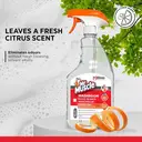 Mr Muscle Professional Disinfectant Bathroom Spray, 750ml image 5