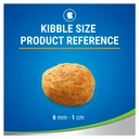 Dentalife Daily Oral Care Treats with Tasty Chicken 40g image 3