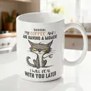 Alphynix Mug Grumpy Cat générique Mon café et moi avons un moment, JE M'OCCUPERAI DE VOUS PLUS TARD mug chat boire café cadeau pour ami, sœur, maman de chat, buveur de café, propriétaire de chat céramique, 33cl,Le cadeau de la saint-valentin, cadeau d’anniversaire image 1