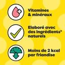 CATISFACTIONS Friandises Croquantes pour Chat Saveur Herbe à Chat (Sachet de 60g) image 5