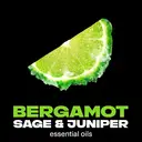 Lynx Fine Fragrance Collection Premium Deodorant Bodyspray Aqua Bergamot 150ml image 2