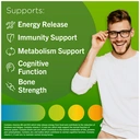 Centrum Gummy Multivitamins Mixed Fruit for Adults Daily Wellness Support Gummies - 60 Gummies image 3