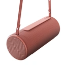 Enceinte bluetooth Loewe Coral 60W Hear2, jusqu'à 17 heures d'autonomie, certifié IPX6 image 1