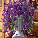 Yuejia Lot de 4 bouquets suspendus de fleurs artificielles en soie liseron violet - 75 cm image 1