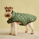 Rosewood x Joules Khaki Quilted Coat for Dogs Medium image 2