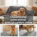 SONGMICS Couverture imperméable pour chien, 229 x 203 cm, couverture en polaire Sherpa pour animaux, lavable en machine, protège-canapé pour chien réversible, gris image 5