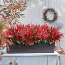 Yuejia 10Pcs 13.8in/35cmOutdoor artificial flowers, fake plants flowers, suitable for indoor and outdoor hanging window box decoration image 6