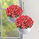 Yuejia 4Pcs 11in/28cmArtificial Pansies Flowers Outdoor Faux Flowers Plastic Plants Artificial Silk Flowers for Front Porch Garden Window Box Hanging Planter Decoration(red) image 6