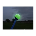 Rosewood Glow In The Dark Dog Ball image 1