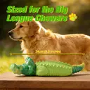 Blinkit Medium and Large Dog Bite Resistant Interactive Chewing Toy Natural Rubber Nylon Double Layer Structure Suitable for Fetch Training Outdoor Play NL01038 image 3