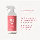 The Lab Co. Antibacterial  All Purpose Cleaner 750ml Multi Surface Cleaning Spray Energising Fragrance Grapefruit Amber Eucalyptus image 3