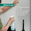 Delphis Eco Daily Shower Cleaner, 700ml image 3