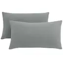 LeBonsoir Basics 50x75cm Pillowcases Set of 2， Super Soft Easy Care Microfiber，Envelope Closure， Light Gray， Pillows Not Included image 1