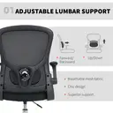 HOMCOM Draughtsman Chairs with 4D Lumbar Support, Ergonomic Mesh Tall Office Chair with Flip-up Armrests and Adjustable Footrest, 360 Degree Swivel Task Stool for Standing Desk, Home Office, Black image 3