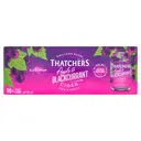 THATCHERS Apple & Blackcurrant Cider 10 X 330ml (ABV 4%) image 0