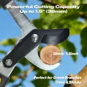 GARTOL Taille-branche à lames franches 66 cm, haute résistance – coupe-branches avec lame en acier SK5, poignées absorbant les chocs, capacité de coupe jusqu’à 4 cm, taille-branches de jardin durable image 1