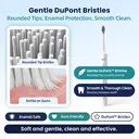 BAIR CARE A9 Sonic Electric Toothbrush with 180-Day Long Battery Life, Rechargeable, 5 Cleaning Modes & 3 Intensities, Smart Timer, IPX7 Waterproof, Professional Oral Care for Adults image 2