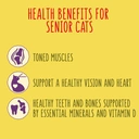 Go-Cat with a Tasty Chicken and Turkey Mix and with Vegetables 7+ Years 750g image 3