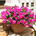 Yuejia Lot de 6 bouquets de fleurs artificielles en soie camélia fuchsia - 38 cm image 2