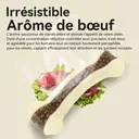 Blinkit Jouet de dentition pour chien en cuir de vachette et nylon  image 5