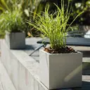 EDA Pot Carré VOLCANIA UP
 Beige Calcaire  
Avec zone de rétention d'eau
Dim. 29,5 x 29,5 x 29,5 cm - Volume 21 L image 3