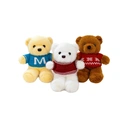 Peluche d'ours avec pull, modèle aléatoire - 25 cm image 0