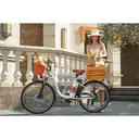 DYU City Elektrische Fiets DYU C6 PRO 26-inch, Wit image 7