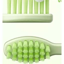 Ordo Squishmallows Kids Battery Powered Toothbrush, Soft Bristles, Extra Brush Head, Ages 4+, Battery Included, Rutabaga image 2