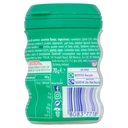 Mentos Pure Fresh Spearmint 70g image 2