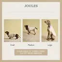 Rosewood x Joules Sandshell Raincoat for Medium Dogs image 4