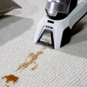 EziClean Nettoyeur portable rechargeable d’injecteur-extracteur, éliminateur de taches W100 image 2